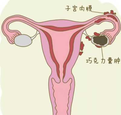 �����ѳ��ɿ������ױ���֪����