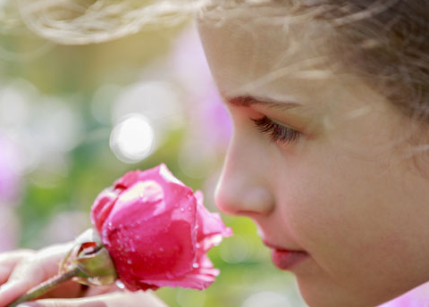 �������׾�û�淶��������ɥʧ��