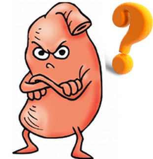 ����θ��׻�����������Щ�˺�