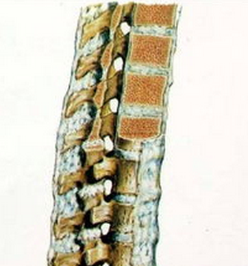 ����ǿֱ�Լ�����Ҫ����Щ��������