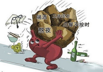 ������Ҫ�������Щθ��