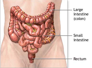 �����е���Щ���ػ�������Խ᳦�ײ���Ӱ��