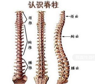 ǿֱ�Լ�����û�м�ʱ���ƾͻᵼ�²м�