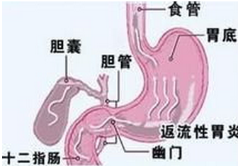 ����θ�׻ᷢ��ʲô�Ƚϳ�����֢״