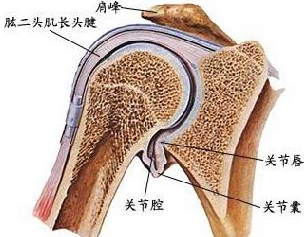 Ҫ��ΰ������ǵĹؽ�