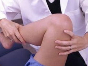 ������ʪ�ǲ�