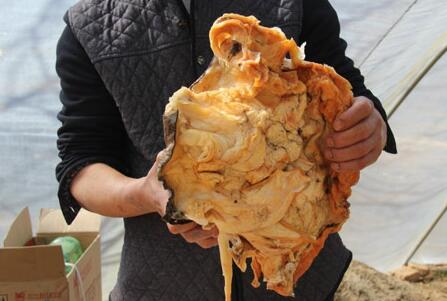 ũ���140��̫��