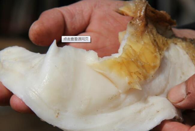 ũ���140��̫��