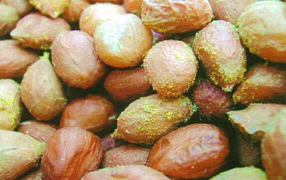 ����ù��