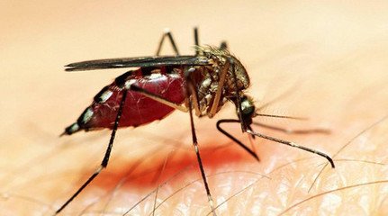 ���÷���