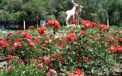 �����Ȼ�����۹���