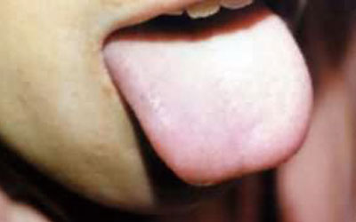 ʪ������̦