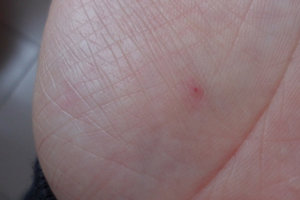 ���ϵ�С���