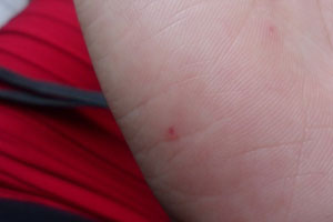 ���ϵ�С���