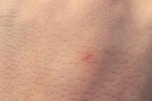 ���ϵ�С���