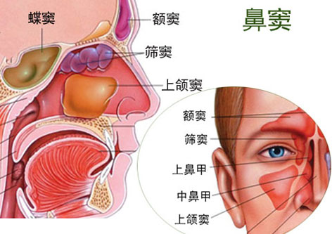 ���ױ����