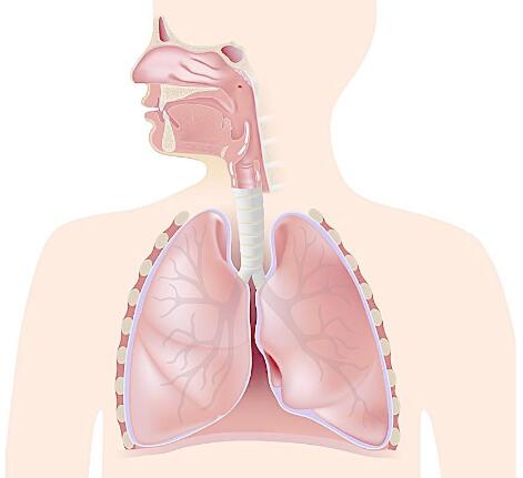 ���׺ͷεĹ�ϵ