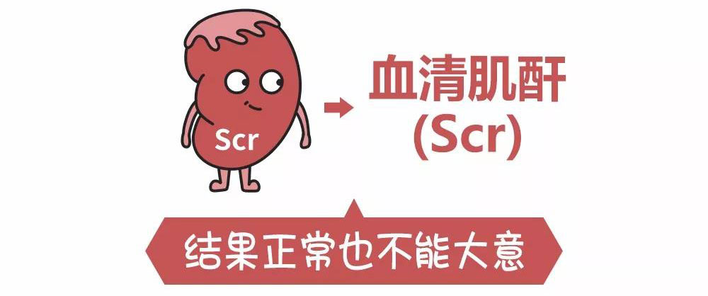 肾功能好坏全看肌酐回春堂错了